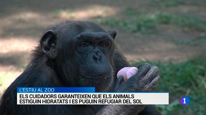 L'Informatiu - L'Informatiu - 09/08/2016