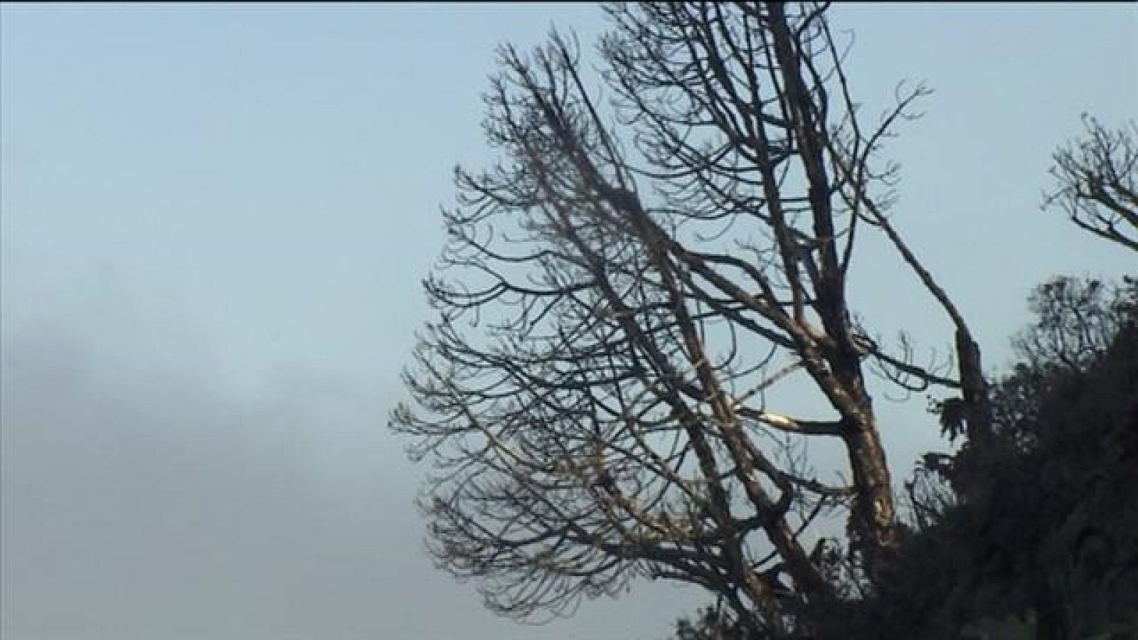 Canarias en 2' - 09/08/2016