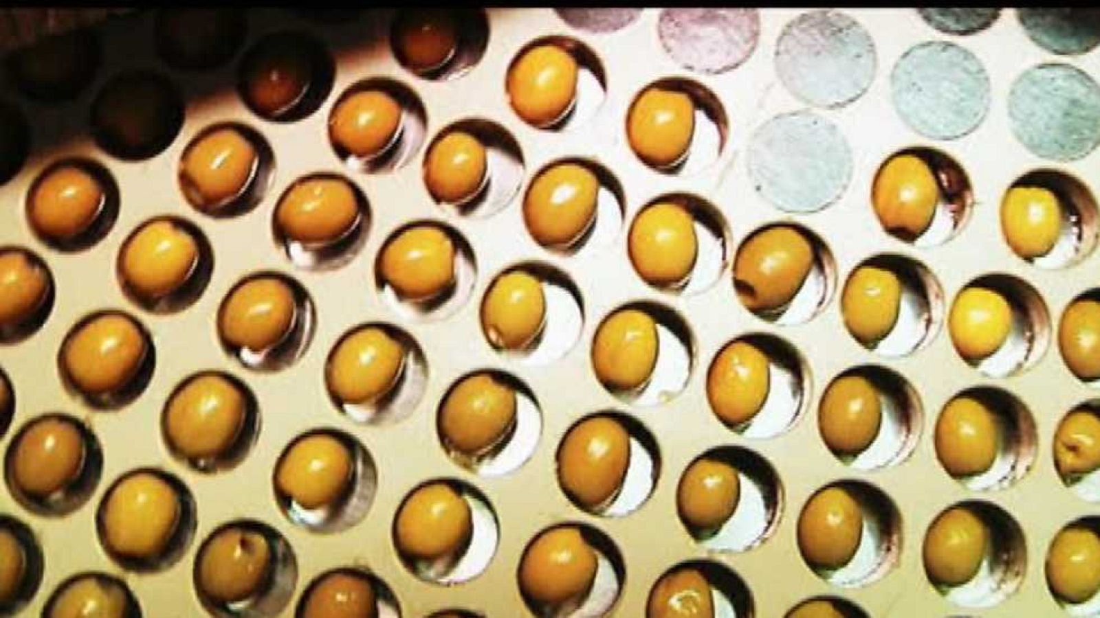 Fabriclan - Aceitunas  rellenas - Fabriclan | Ver