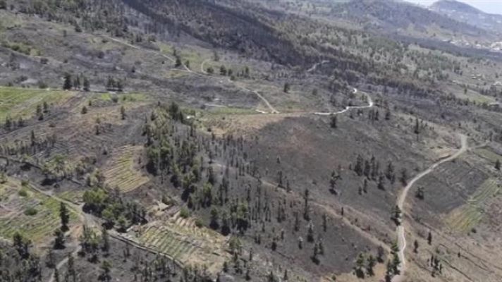 Telecanarias - Canarias en 2' - 10/08/2016