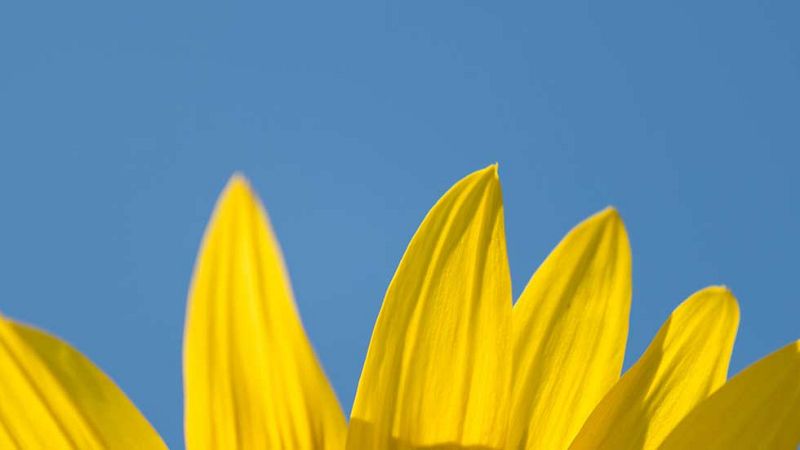 Altas temperaturas, fuertes vientos y oleaje