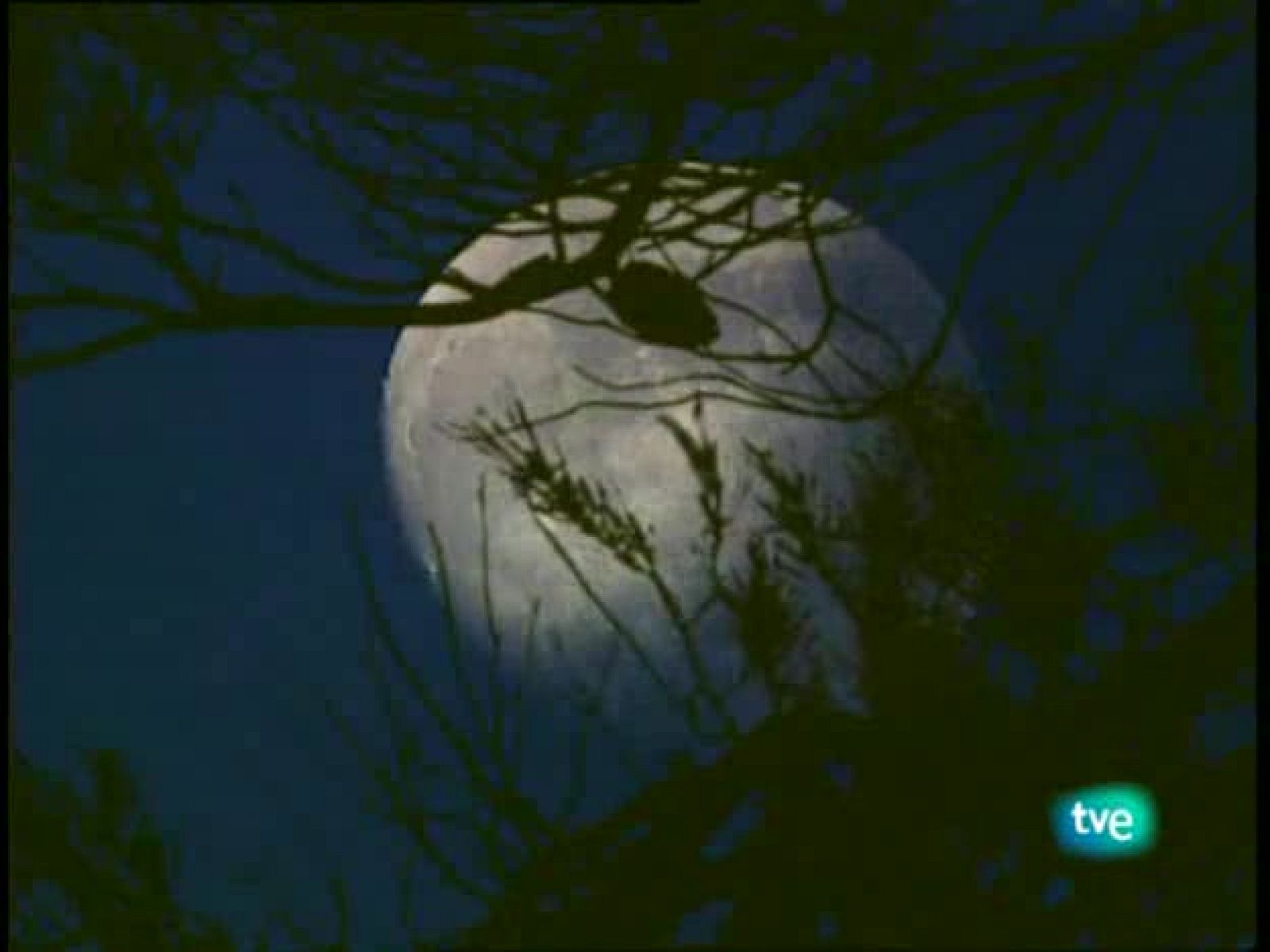 Jara y Sedal - Rececho en la cima - Jara y sedal | Ver