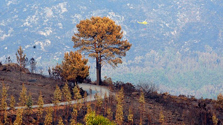Telediario 1 - En Galicia los incendios mejoran tras haber quemado ya más de 6 mil hectáreas