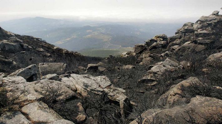 Telediario 1 - Mejora la situación de los incendios en Galicia