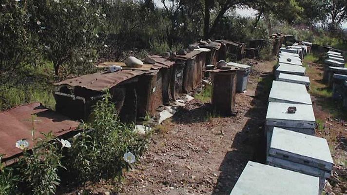 Pueblo de Dios - Servidoras de los pobres