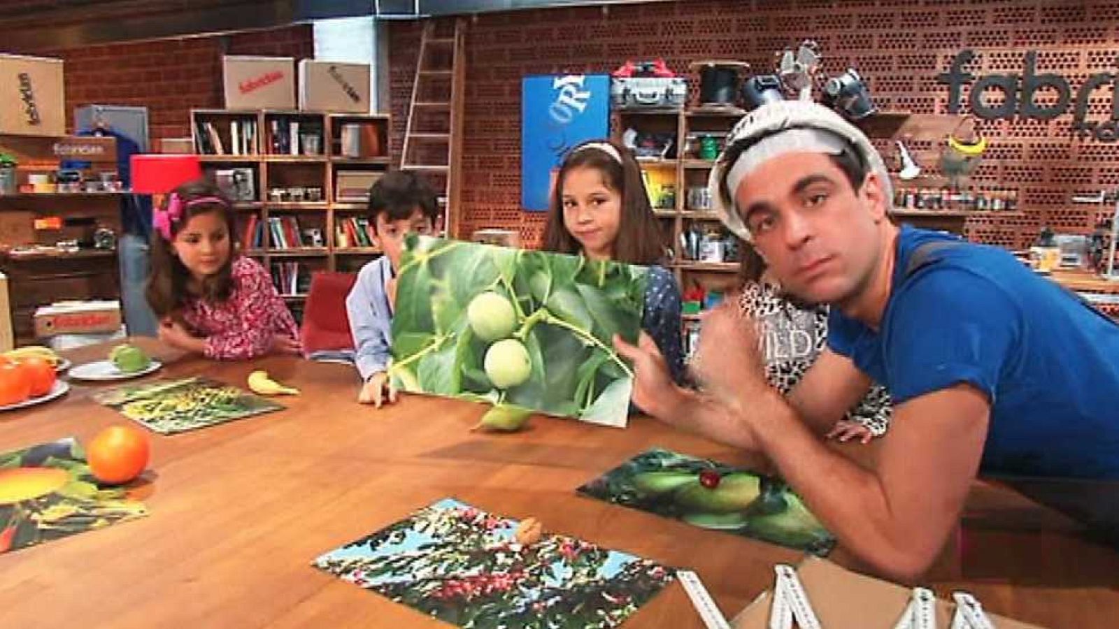 Fabriclan - Nueces - Fabriclan | Ver