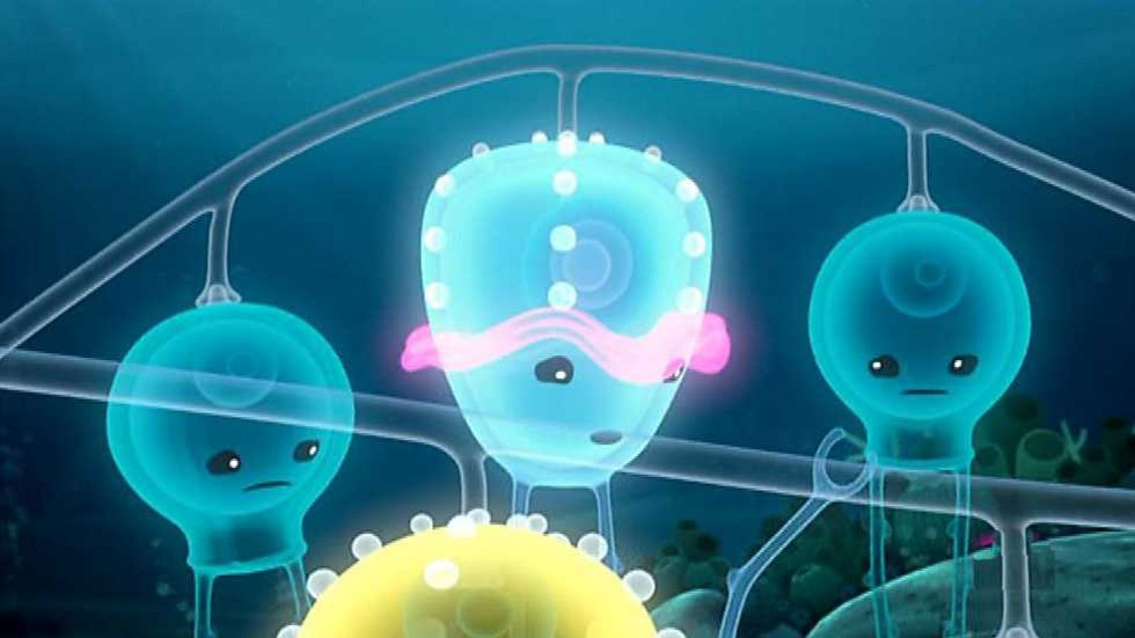 El sifonóforo - Los Octonautas | Ver