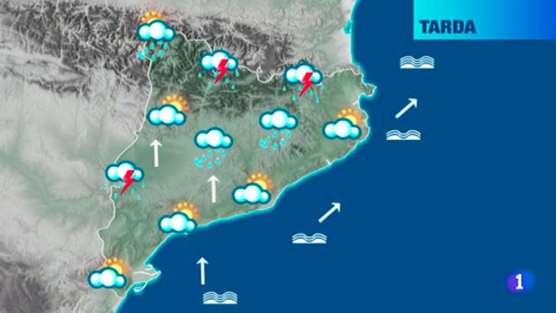 El temps - 16/08/2016