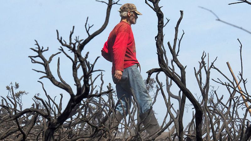 La situación de los incendios en Galicia ha mejorado bastante y a esta hora no hay ninguno fuera de control