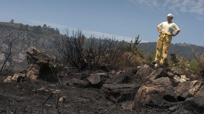 El fuego concede una tregua a Galicia aunque sigue la lucha contra un incendio en Lalín, en Pontevedra