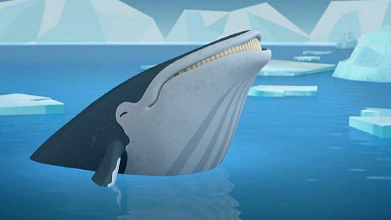 Las ballenas jorobadas - Los Octonautas | Ver