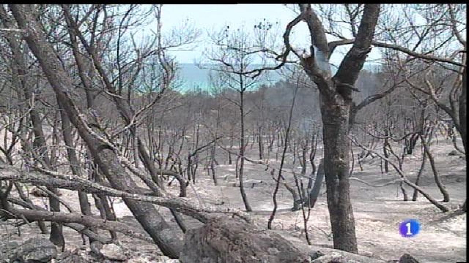 Estabilitzat l'incendi d'Artà