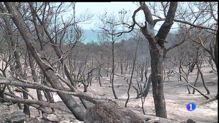 Informatiu Balear - Estabilitzat l'incendi d'Artà