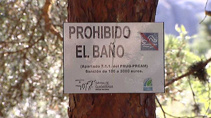 Informativo de Madrid - Informativo de Madrid - 18/08/16