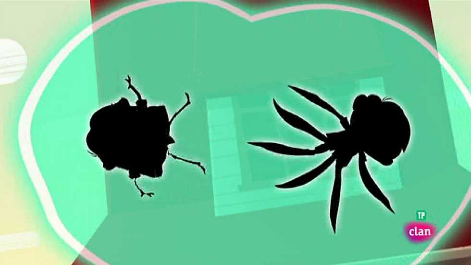 Erwin tiene tentáculos - Jaime Tentáculos | Ver