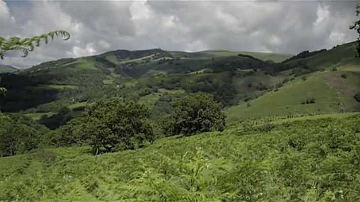 Red Natura 2000 - Programa 25