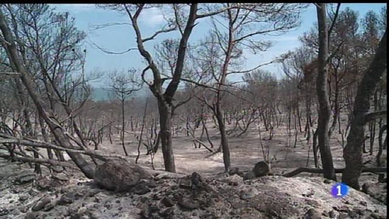 El polèmic incendi d'Artà