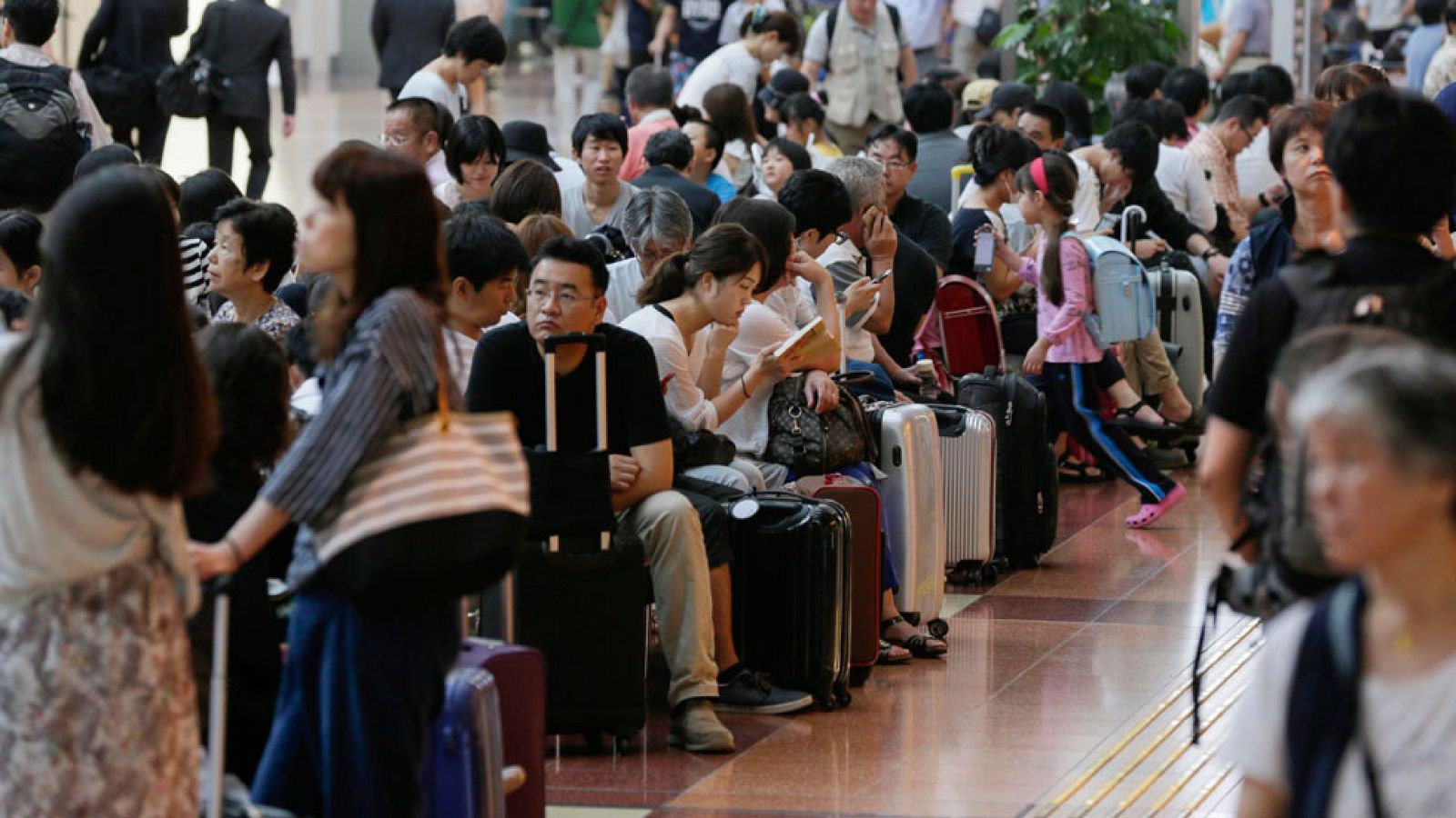 El tifón Mindulle paraliza el tráfico aéreo de Tokio y afecta a gran parte de Japón