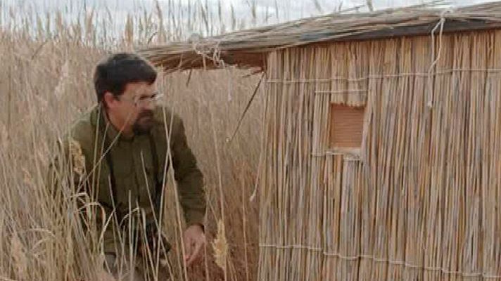 Red Natura 2000 - Máximo, estudia el comportamiento de la fauna de la laguna