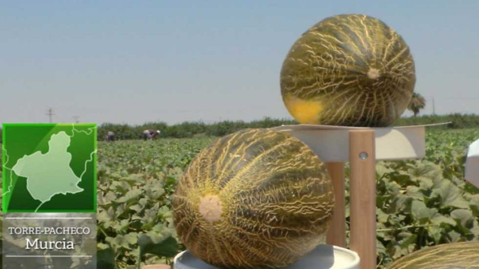 Aquí la tierra - 22/08/16 - ver ahora