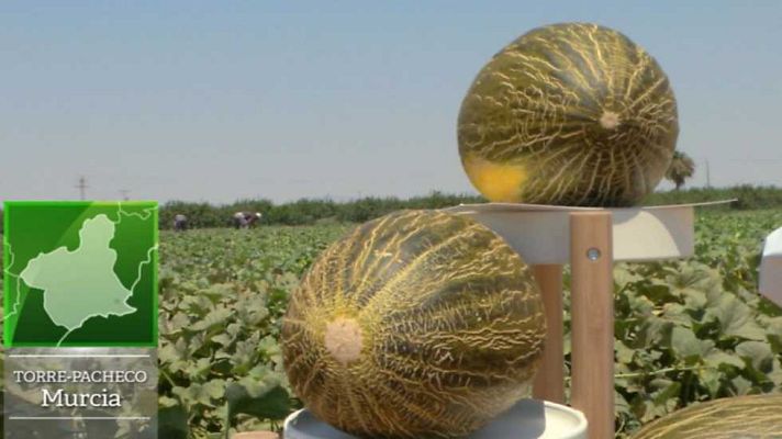 Aquí la Tierra - Aquí la tierra - 22/08/16