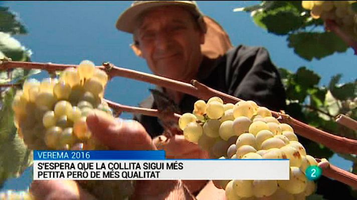 L'Informatiu - L'Informatiu vespre - 22/08/16