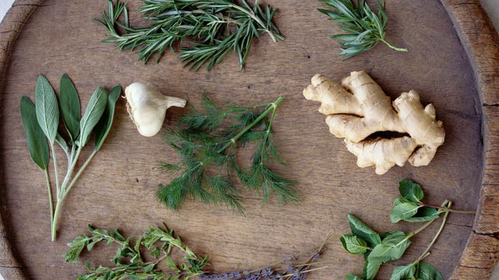 La mañana - Saber Vivir - Plantas medicinales para el sistema urinario