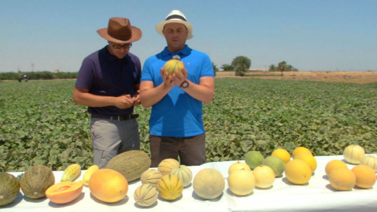 El dibujante de melones
