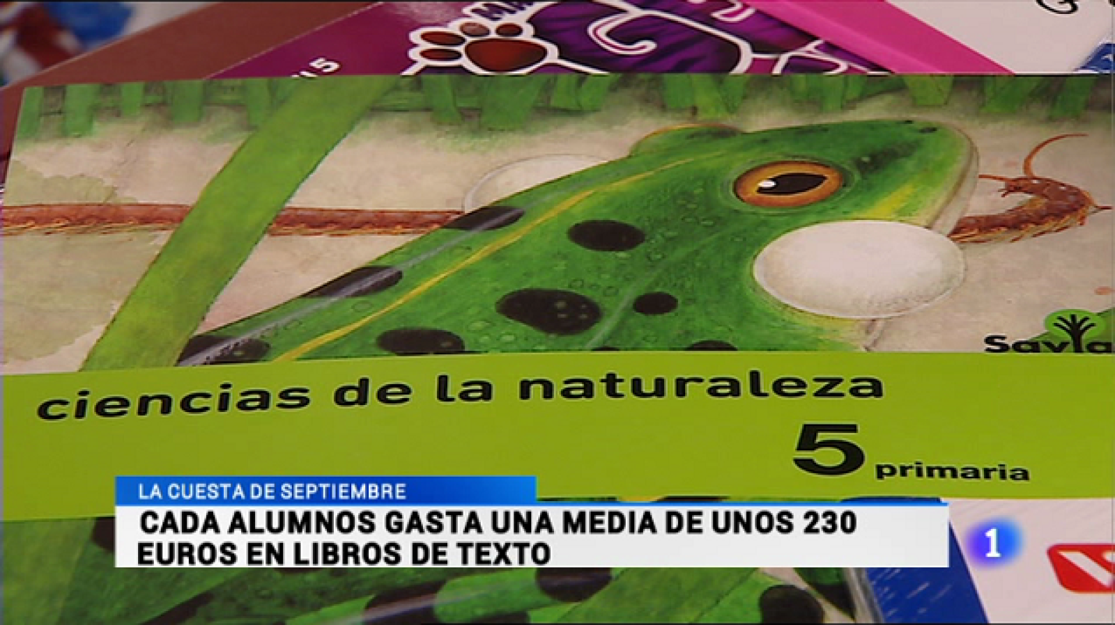 Telerioja en 2' - 23/08/16