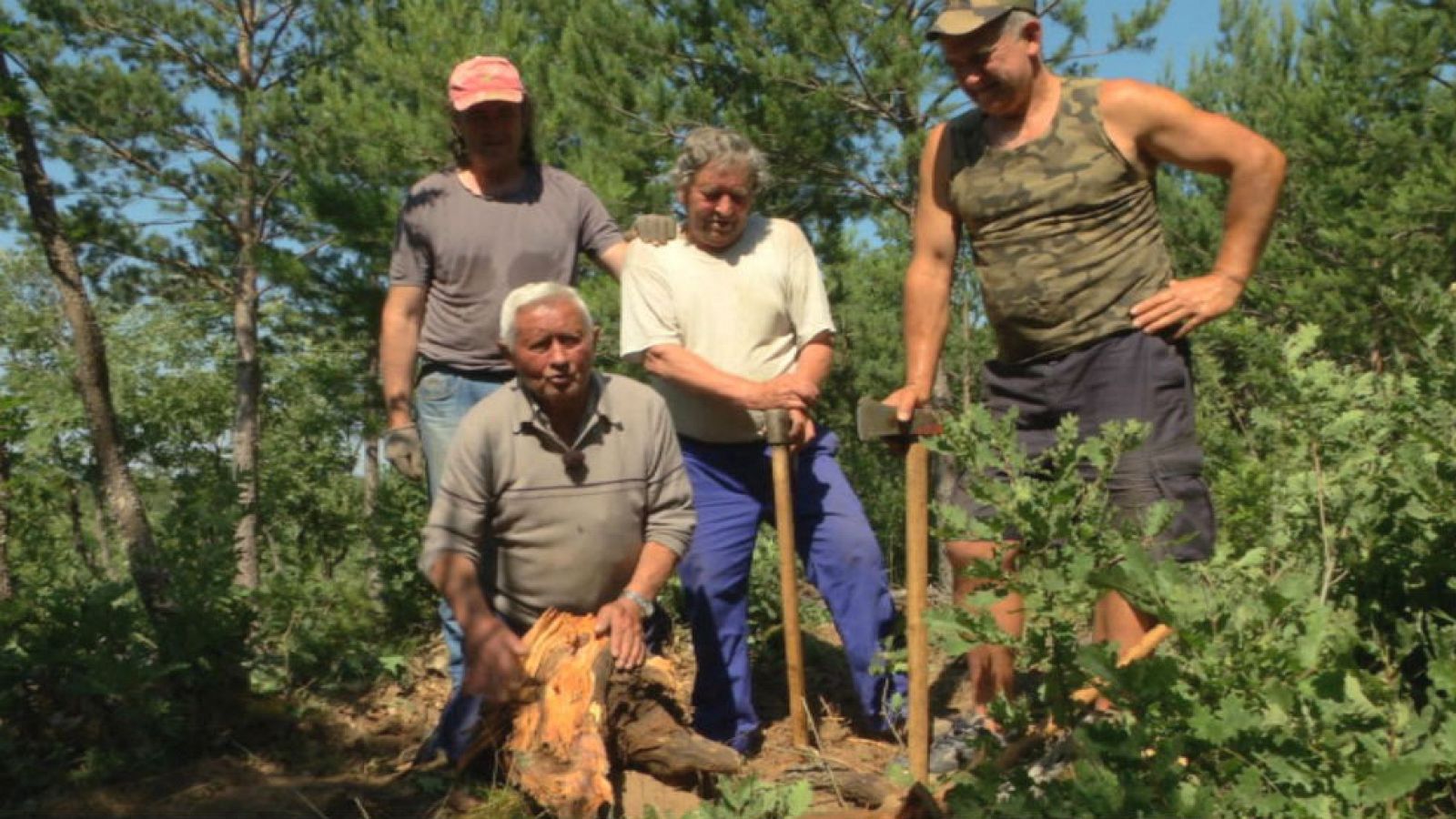 El oro negro de la sierra de Burgos
