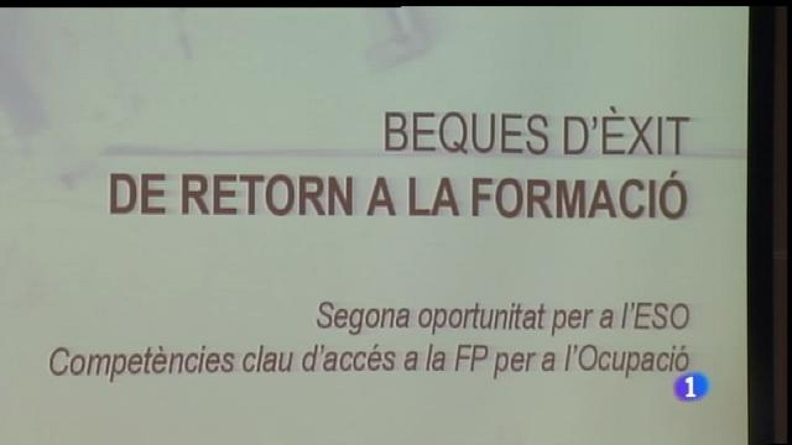 1.700 euros als desocupats per estudiar