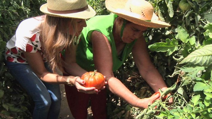 Aquí la Tierra - Huevos que son tomates