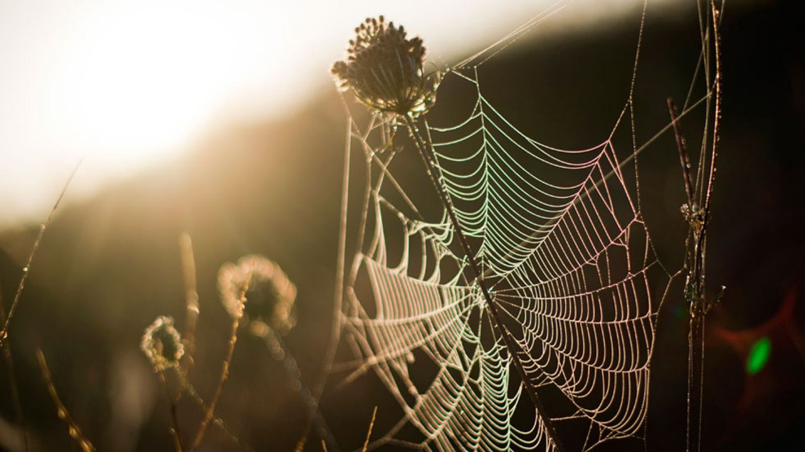 Nubes de evolución diurna en el interior de la mitad oriental peninsular