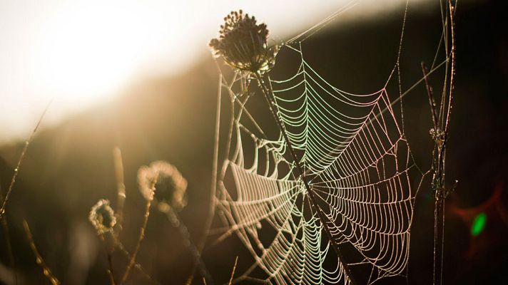 El tiempo - Nubes de evolución diurna en el interior de la mitad oriental peninsular