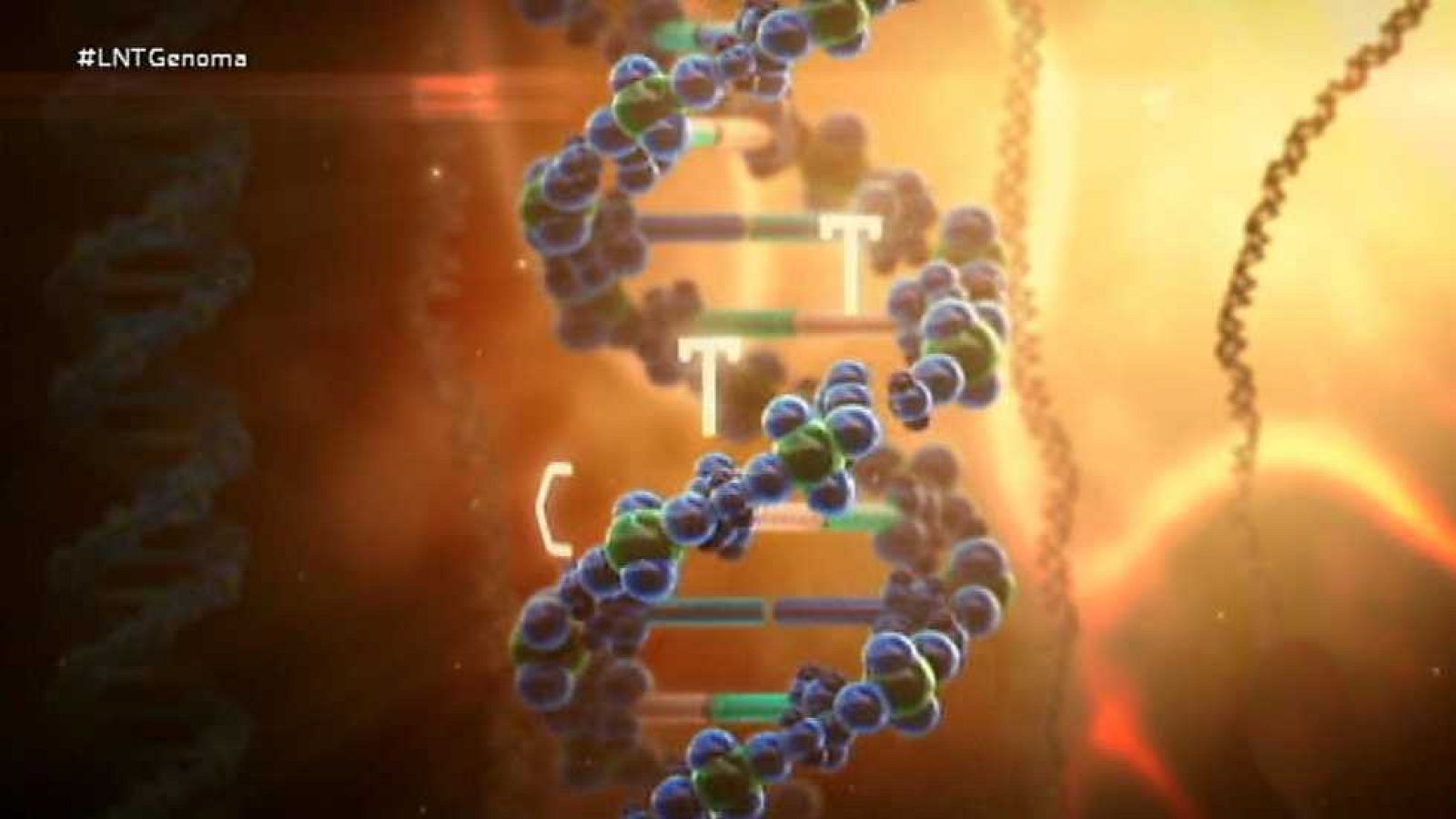 La noche temática - Descifrar nuestro código genético - ver ahora
