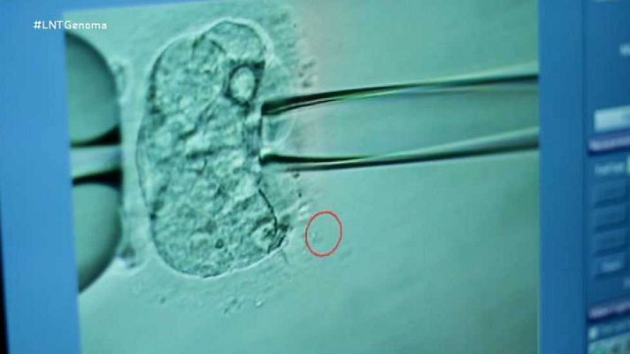 La noche temática - ¿Realmente quieres saberlo?