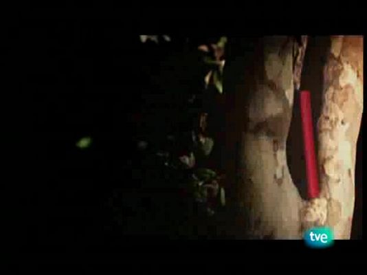 Página Dos - Página 2 - 28/12/08