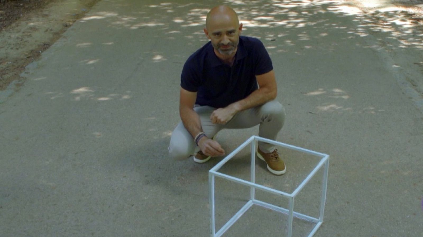 Desafía tu mente - El cerebro, los ojos y los objetos