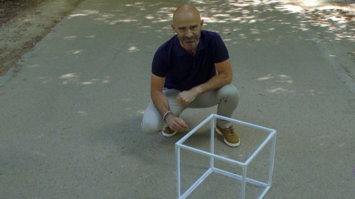 Desafía tu mente - El cerebro, los ojos y los objetos