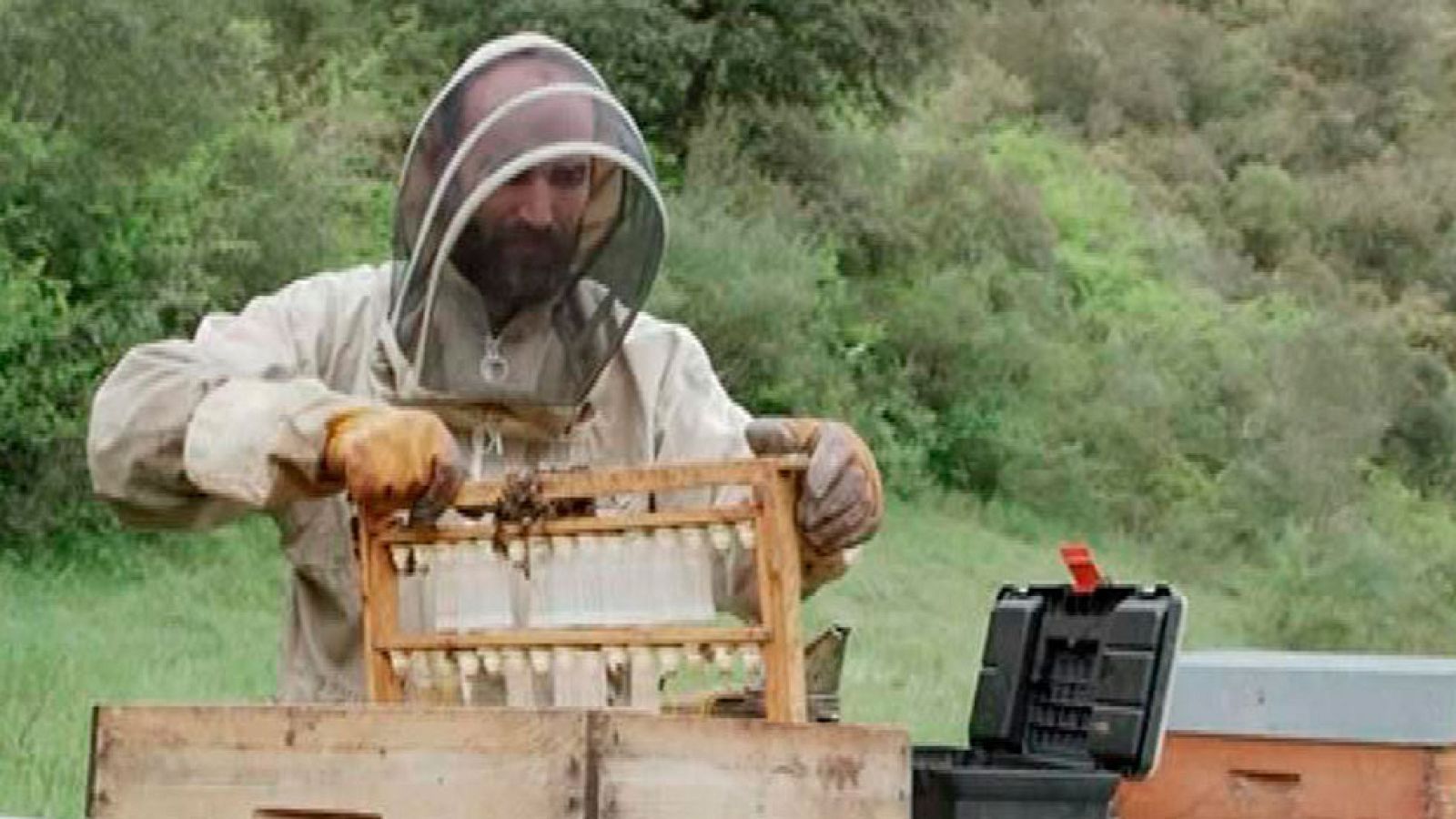 Red Natura 2000 - Historias:   Rubén,  apicultor