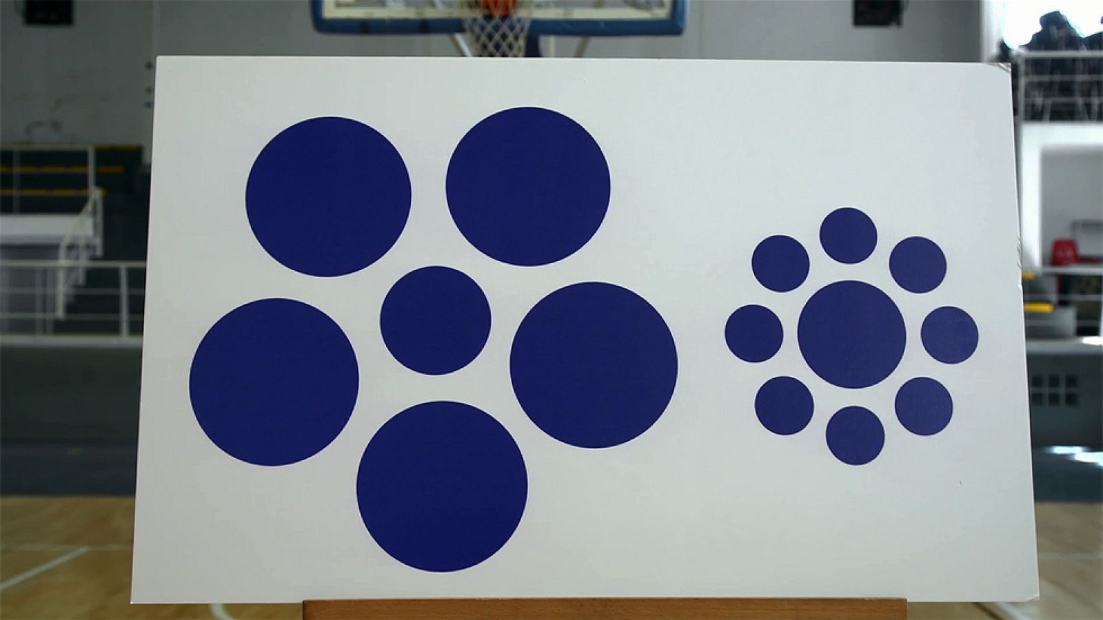 Desafía tu mente - Ordena de menor a mayor tamaño los círculos de la imagen