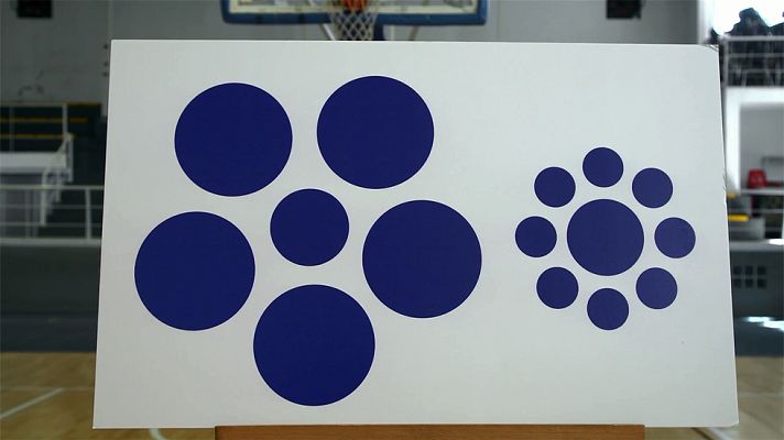 Desafía tu mente - Ordena de menor a mayor tamaño estos círculos