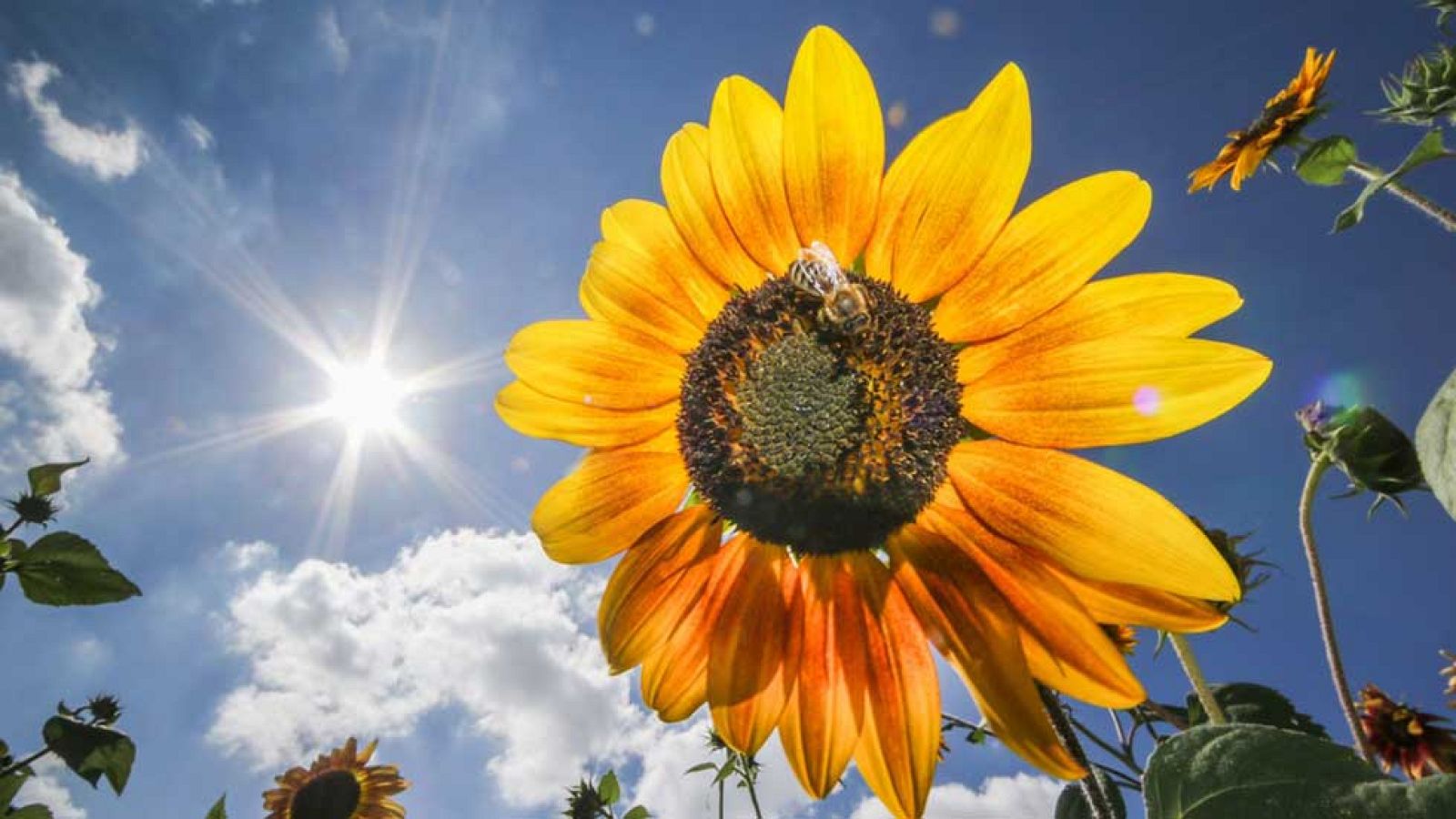 Bajan las temperaturas en Galicia, Asturias y Canarias