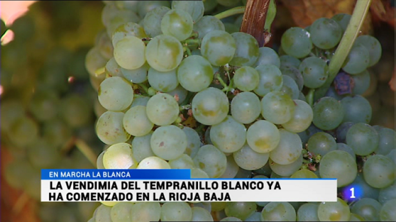 Telerioja en 2' - 30/08/16