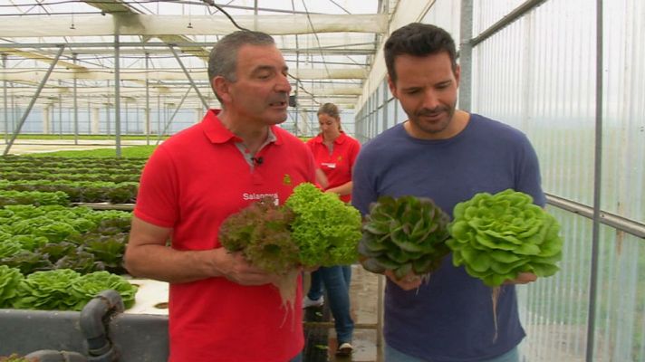 Aquí la Tierra - Unas lechugas flotantes