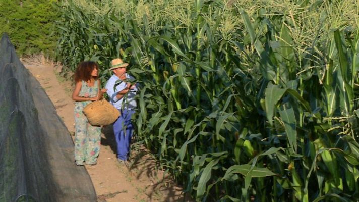 Aquí la Tierra - No todo el maíz es amarillo