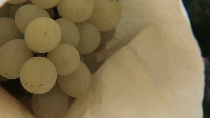 L'Informatiu - Comunitat Valenciana - 01/09/16 - ver ahora