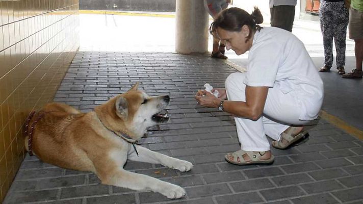 L'informatiu - Comunitat Valenciana - La Comunidad Valenciana en 2' - 02/09/16