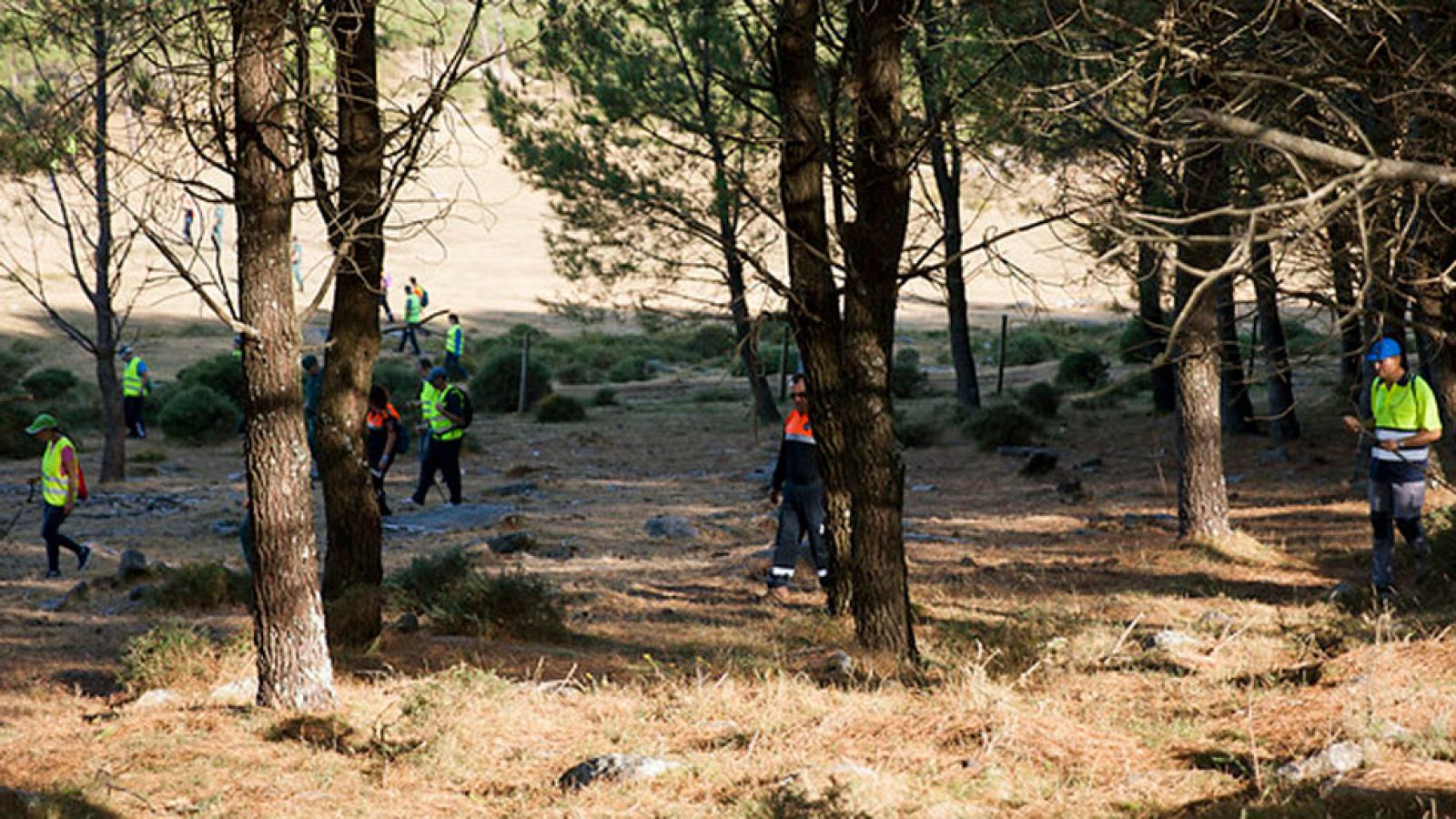 Segundo día de batidas de la Guardia Civil y vecinos para buscar a la joven Diana Quer, desaparecida hace 12 días