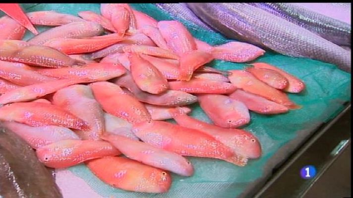 Informatiu Balear - Ja es pot pescar raor